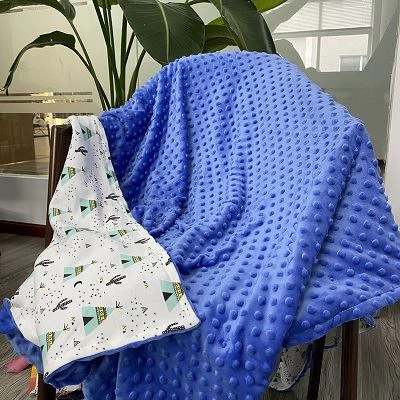 Blue minky dot blanket