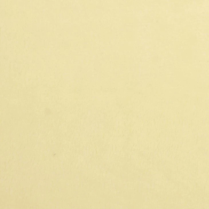 Embossed Minky Love Fleece Fabric